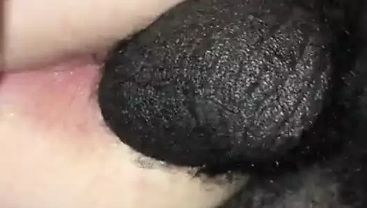 Hotwife barebacks bir bbc