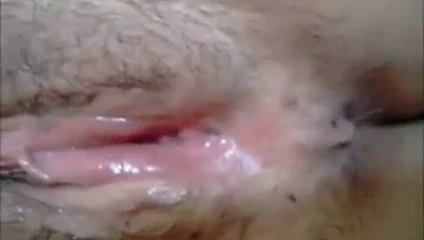 amatör KEDİ yalama ve parmak