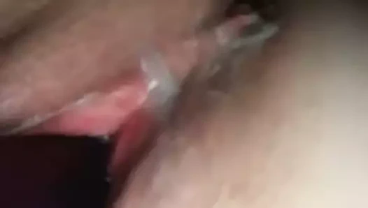 Kahrolası benim kremsi kedi