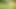 Seksi genç kız yoga yapıyor ve açık havada mastürbasyon yapıyor