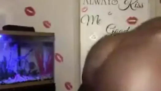 Kıvrımlı bir horozdan daha güzel bir şey yok