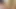 Kıvrımlı kalın Latin genç sert sikikleri - İspanyolca porno