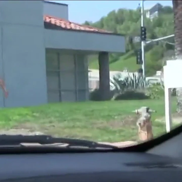 Грудастой блондинке натирает ее сочную киску и трахает везучий извращенец