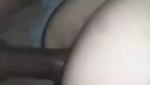 Tavşan kahrolası tavşan