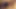 Japon gyaru karısı ile kıllı kedi, oral ve oral seks