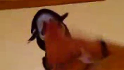 scary fleshlight 2-jetzt gehts!!!