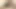 I fuck my girlfriend tiny pussy and cum inside India desi porn