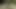 amatör bahçe piss.mp4