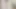 Javhub Japon model fotoğrafçının sikini emiyor