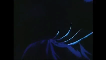 Kehanet gerçekleşti!