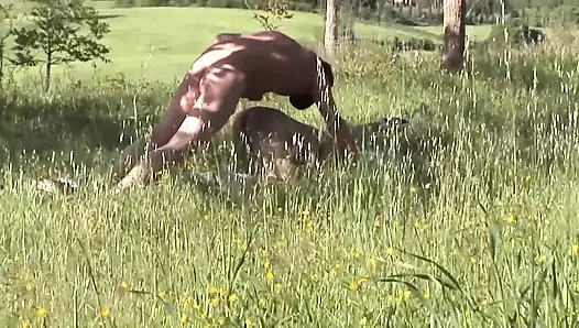 Açık havada raid anal ve sikiş filmi