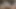 Erkek arkadaş vcs azgın sange colmek için video skandalı