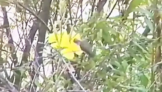 Tıraşlı amatör amcık dövüyor