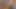 Pamela lopez transexual puta de mexicali scort chupa culos