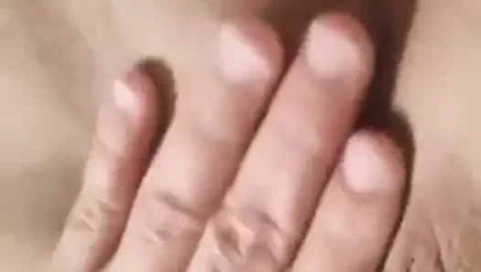 Alca cano medellin colombia