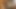 Safarideyken inanılmaz vücutlu abanoz bebekle tam Afrikalı kız arkadaş deneyimi