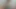 Asyalı Web Kamerası Seansı Yapıyor