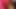 Pink Kopftuch Weib nimmt Schwanz im Mund und lutscht