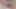 Tükürük damlayan derin saksomla kalın sperm çıkana kadar 11 boşalma sallanıyor. 1