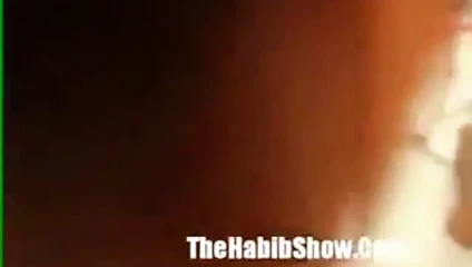 Orange salatalık Tayland kedi