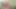 travesti için anal ani saldırı