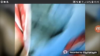 Blaqperv rütbeli için bazı kedi rubbin