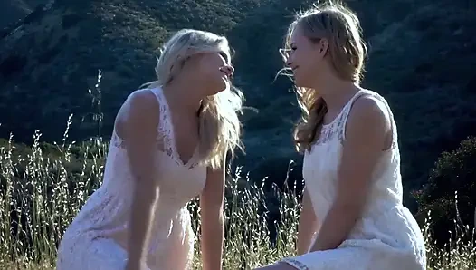 Sıcak ve sıcak yaz melteminde güzel olgun ve sulu Californialı portakallar