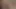 İzle bu büyük siyah horoz dayak yukarı benim kedi