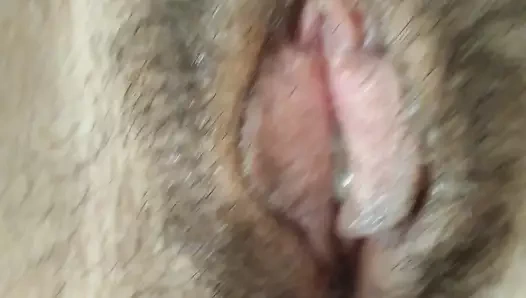 Milf yarım yamalak kedi