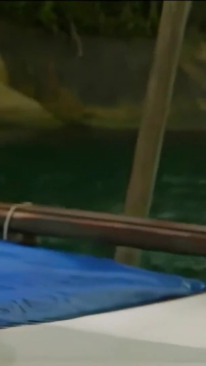 Сногсшибательный момент от "Извращенные лесбиянки используют секс-игрушки друг на друга и экспериментируют с анальным сексом"