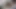 çekici piliç fotoğraf çekimi