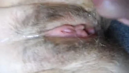 kedi üzerinde kısa atış