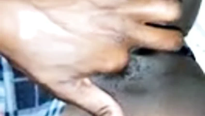 Afrika oynama ile kedi