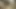 Esmer ile kıllı kedi gets boşalmak tüm üzerinde ona vücut