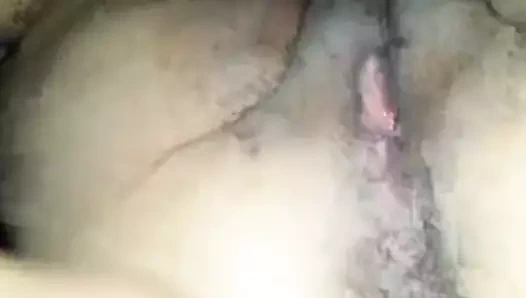 Güzel iranian kedi becerdin