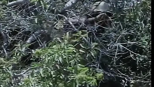 Ateşli kaltak yürüyüş parkurunda sikiliyor