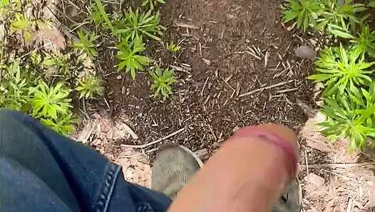 Ormanda yalnız yarak