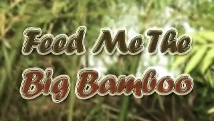 Gina de palma açık havada