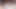 bbc bbw's kedi vurma