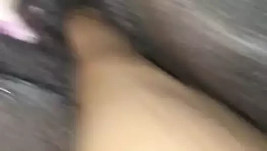 Beni bbw kedi ile oynama