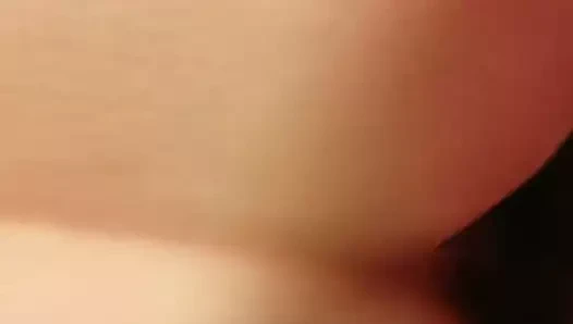 Kızıl alma horoz köpek stili