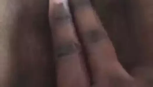 Kimbata gahanava - sl kedi tokat