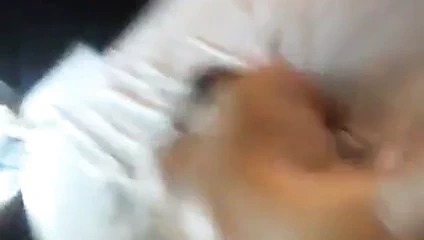 Str8 mutlu piç kurmak istiyorum