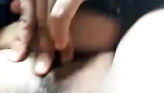 Birmanya kedi geniş açıldı