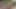 Karım antrenman yaparken azgın ve tutkulu oldum ve fışkırtarak boşalmasını sağladım - venusymarteok
