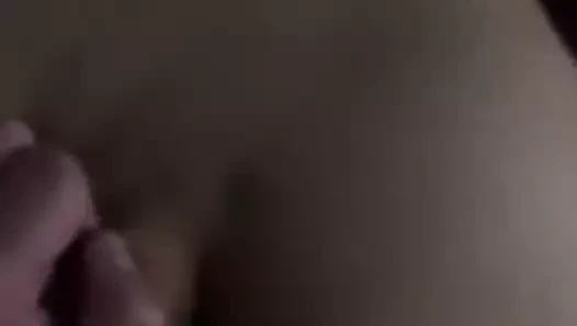 Londra öğrenci köpek