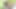 Lucy Thai anal seks ve çifte penetrasyon içeren açık havada üçlü grup seks fotoğraf çekimine katılıyor