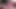 Teen fingert und fickt ihre enge Muschi