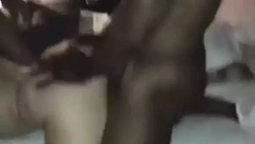 Karartılmış köpek üçlü