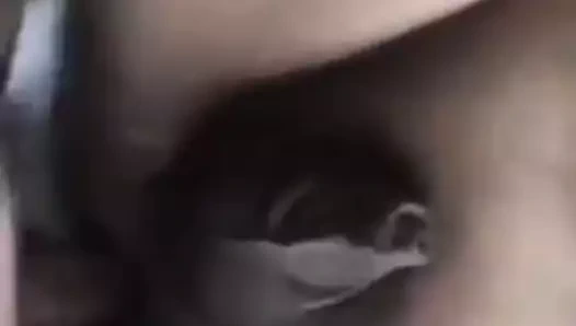 Çin kefali 15